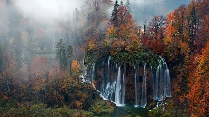 网络化可靠性